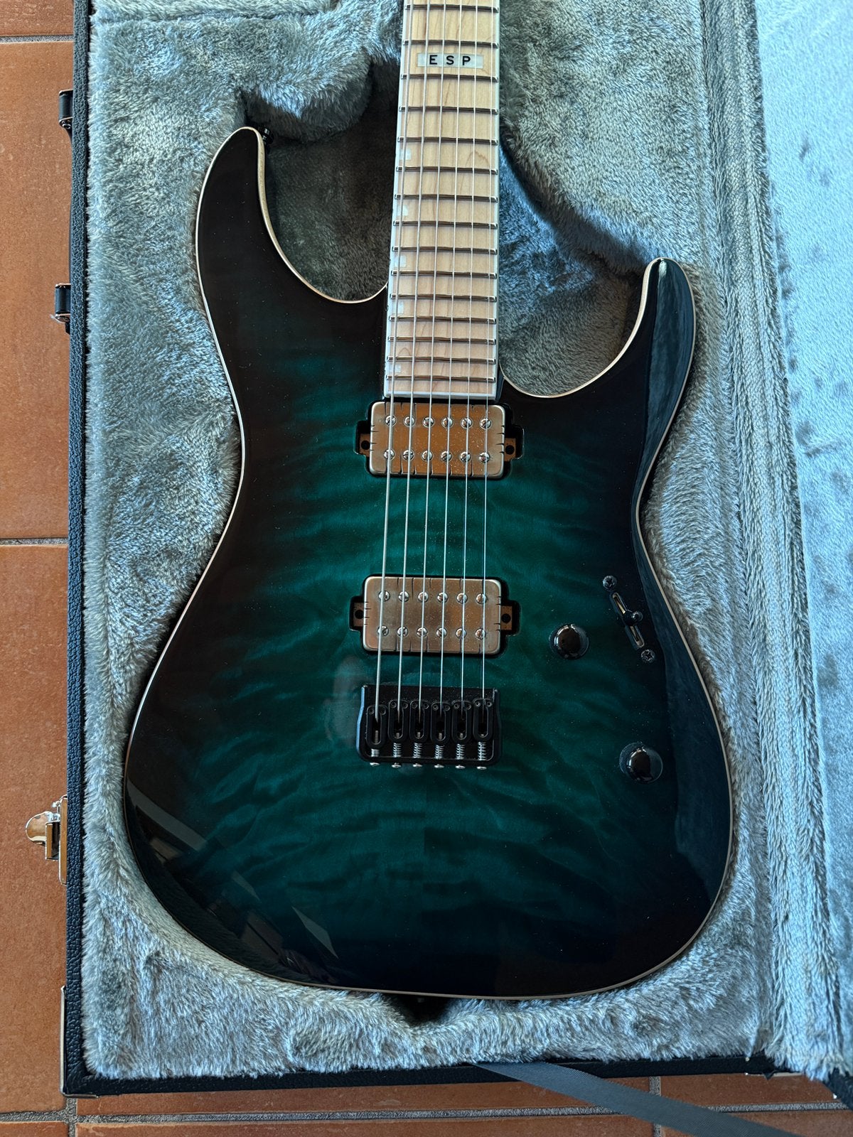 ESP M-II, Musique & Instruments, Enlèvement, Comme neuf