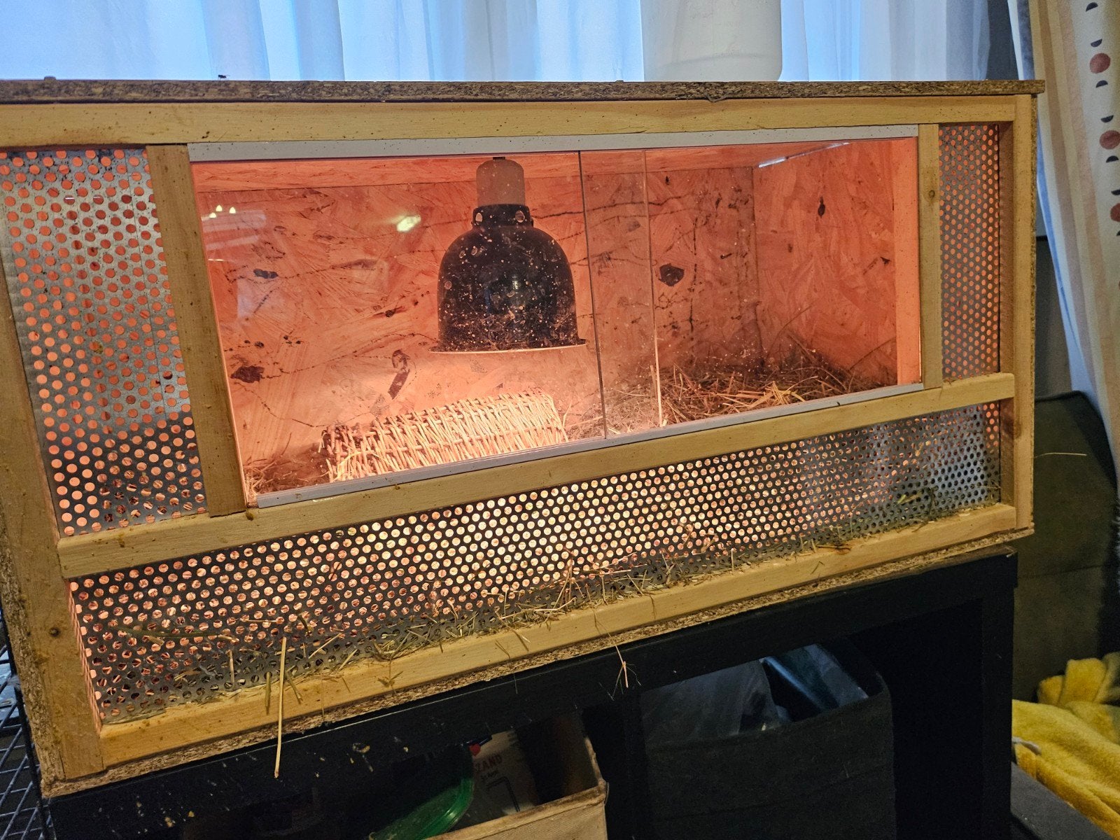 terrarium osb  804040, Dieren en Toebehoren, Ophalen, Gebruikt, Terrarium of Paludarium