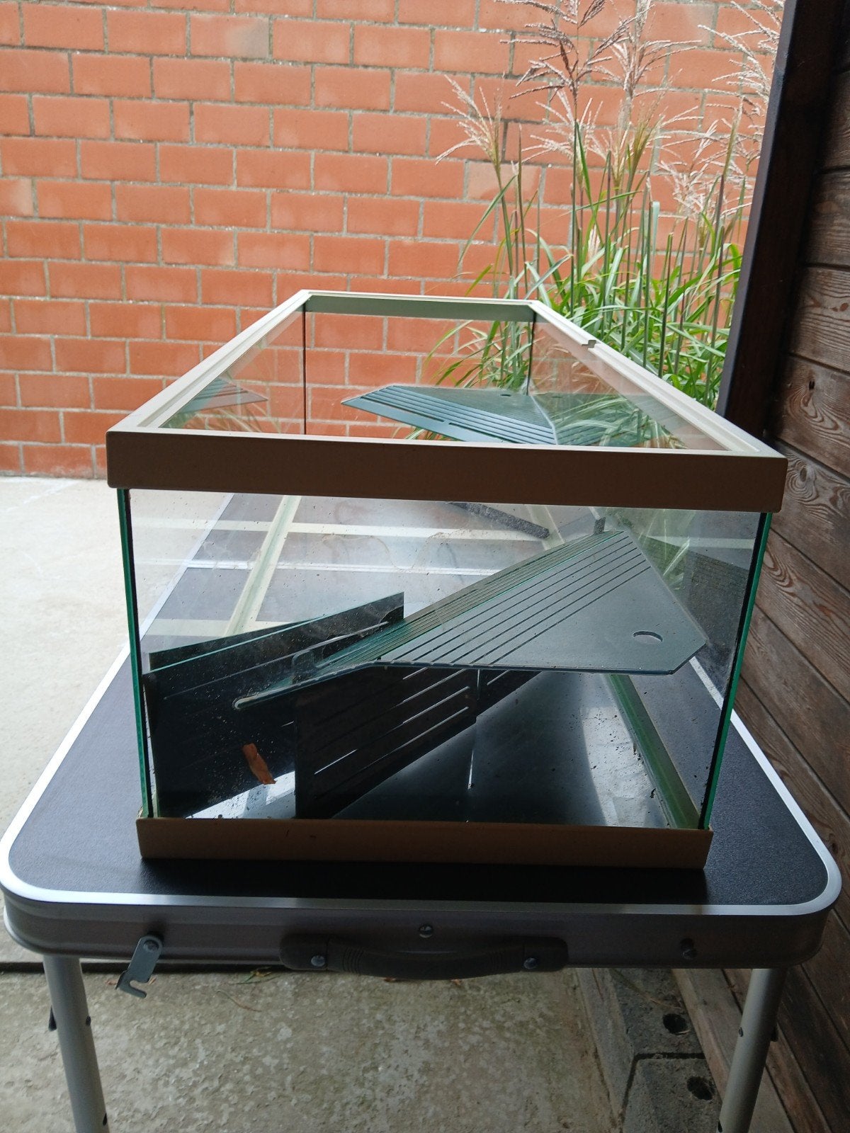schildpadden terrarium, Dieren en Toebehoren