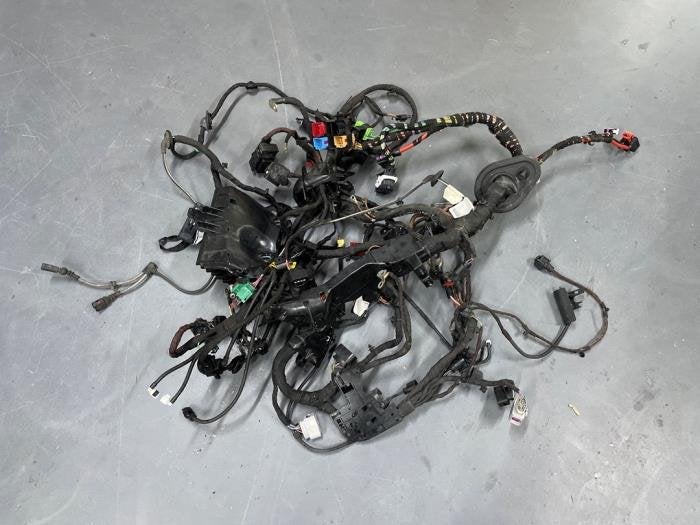 Faisceau de câbles compartiment moteur d'un Volkswagen Golf, Volkswagen, -, 3 mois de garantie, Utilisé