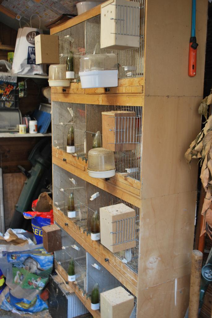 kweekkooien, Animaux & Accessoires, Oiseaux | Cages & Volières, Utilisé, Cage d'élevage, Bois, Enlèvement