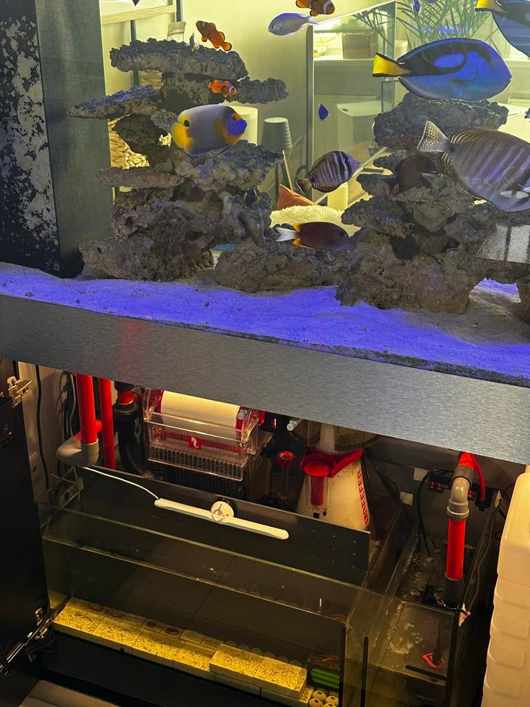 Defish zeewater aquarium Peninsula 500liter, Ophalen, Gebruikt, Leeg aquarium, Overige merken