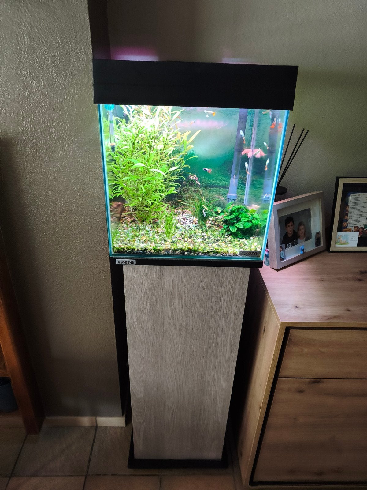 aqarium met meubel 6 maand oud, Ophalen, Sera, Nieuw, Inclusief vissen