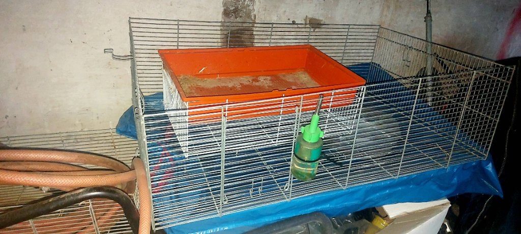 Cage à hamster et cage à lapin, Animaux & Accessoires, Moins de 60 cm, 75 à 110 cm, Cage, Enlèvement