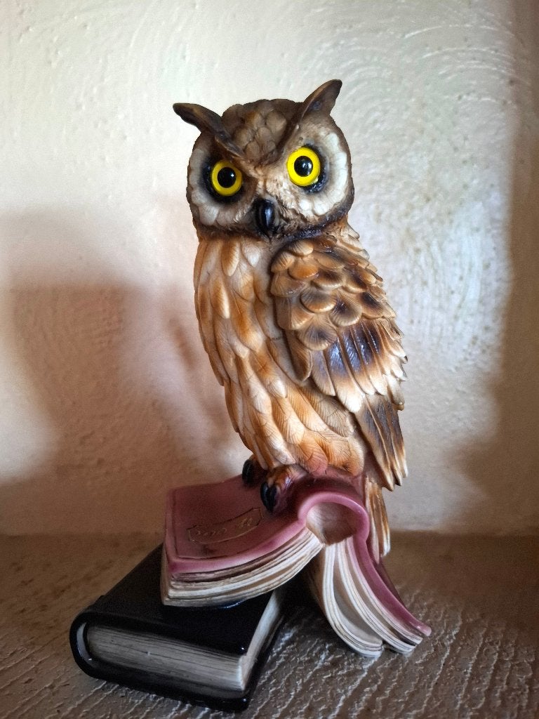 Prachtig Uilenbeeldje op Boeken, Verzamelen, Ophalen of Verzenden, Zo goed als nieuw
