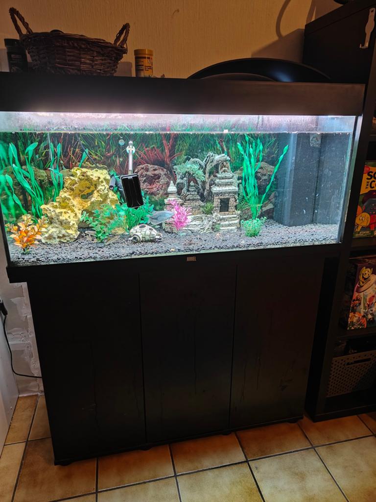 Aquarium te koop, Dieren en Toebehoren, Ophalen