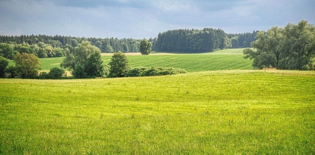 weide te huur gezocht., Dieren en Toebehoren, Stalling en Weidegang