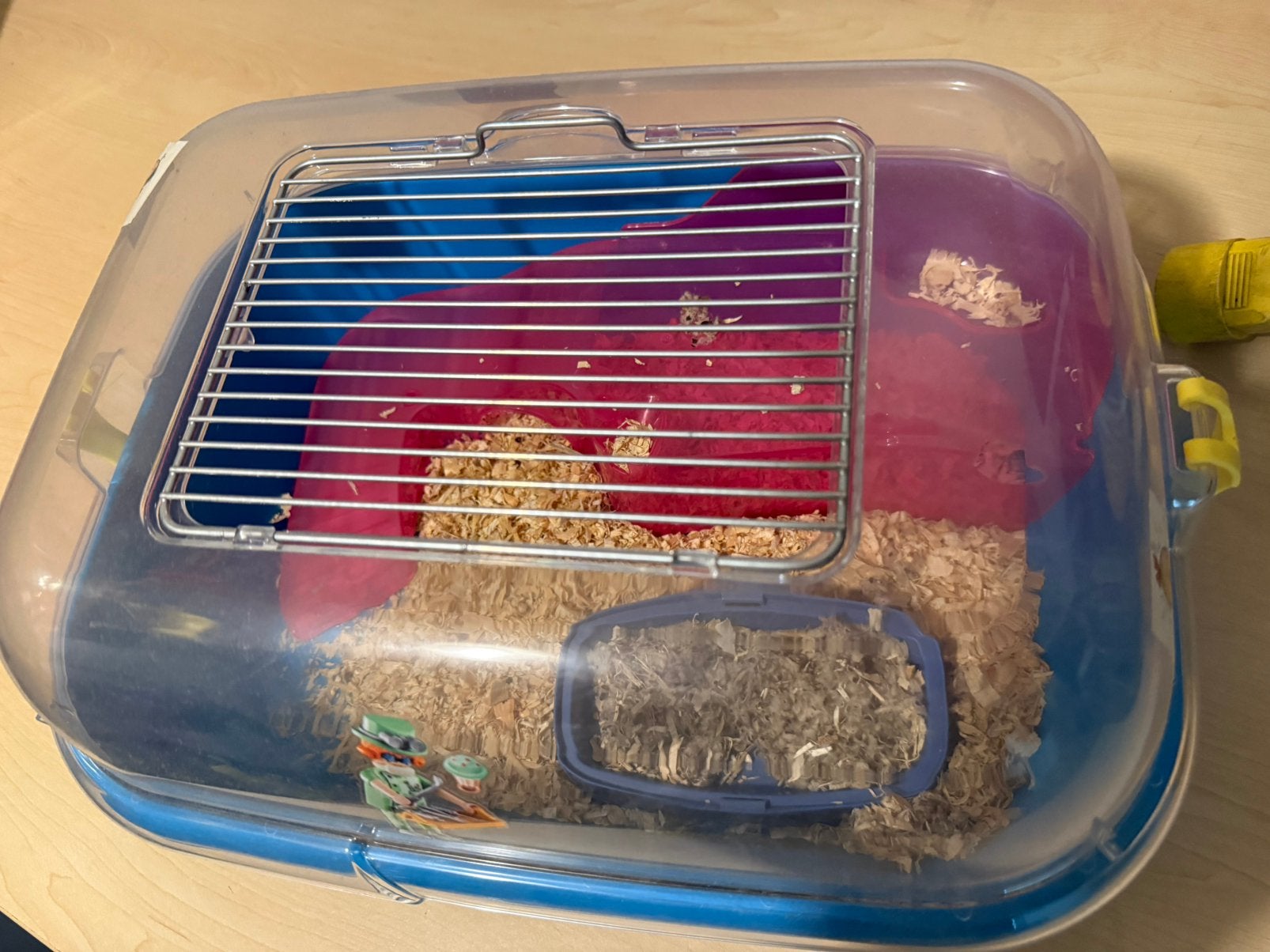 Hamsterkooi, Dieren en Toebehoren, Ophalen