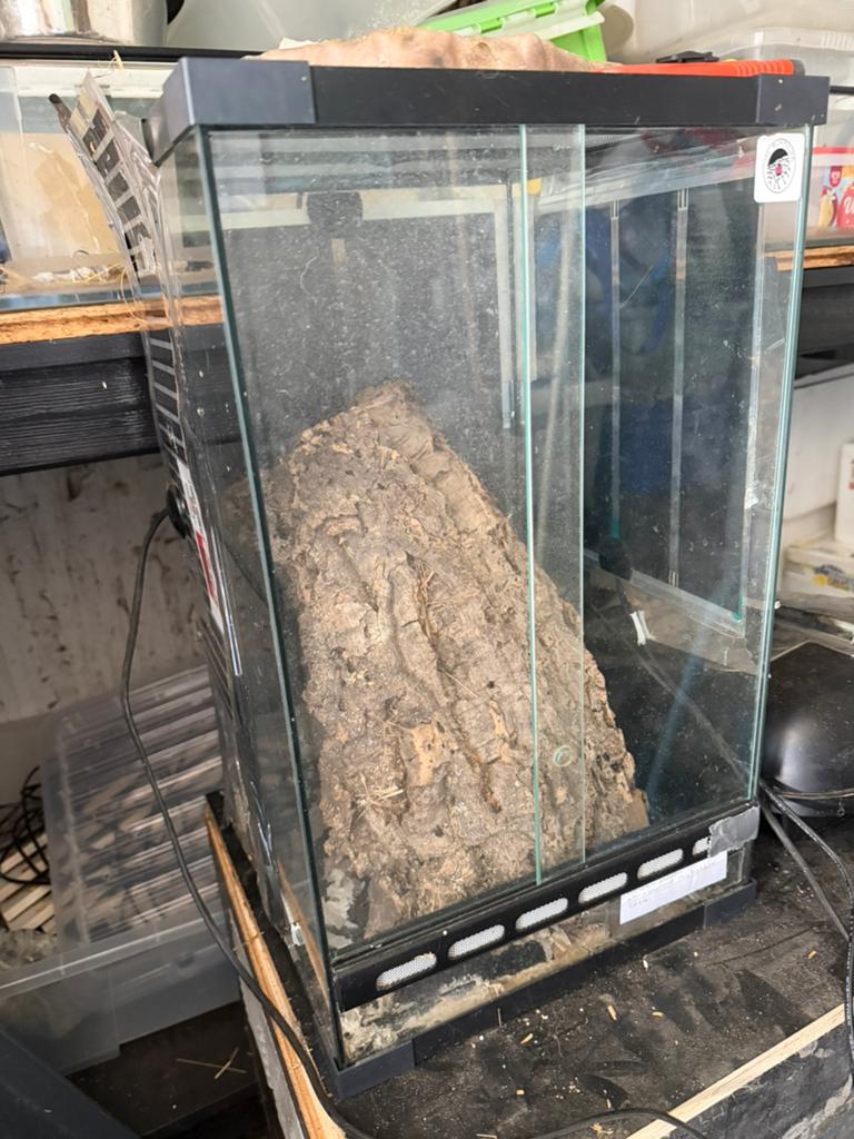 Terrarium, Ophalen, Zo goed als nieuw