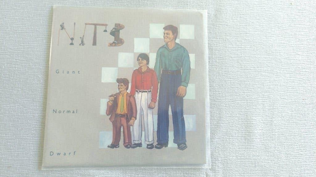 VINYLSINGLE THE NITS---GIANT NORMAL DWARF---, Enlèvement ou Envoi, Utilisé, Pop