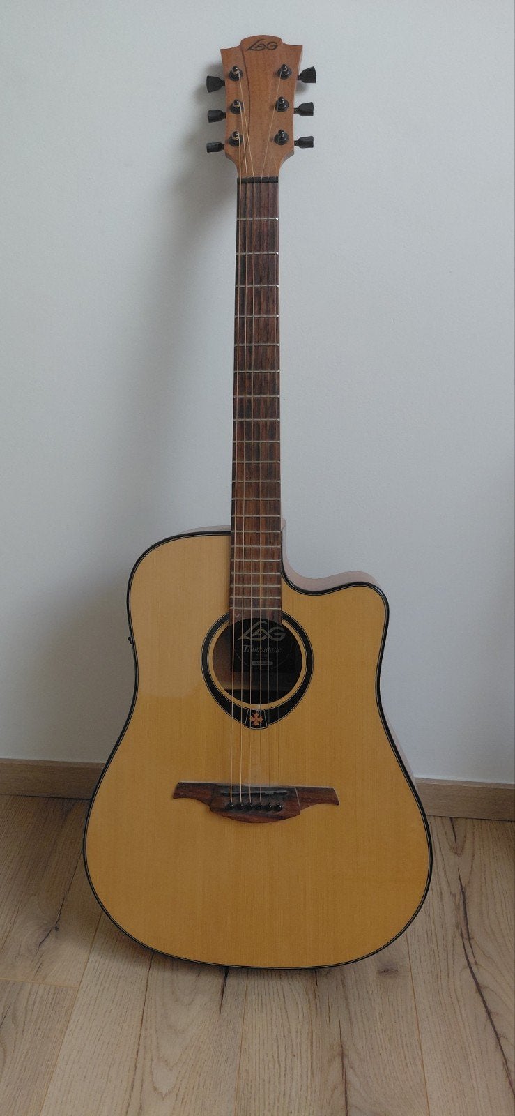 Guitare électro-acoustique "Lag", Enlèvement