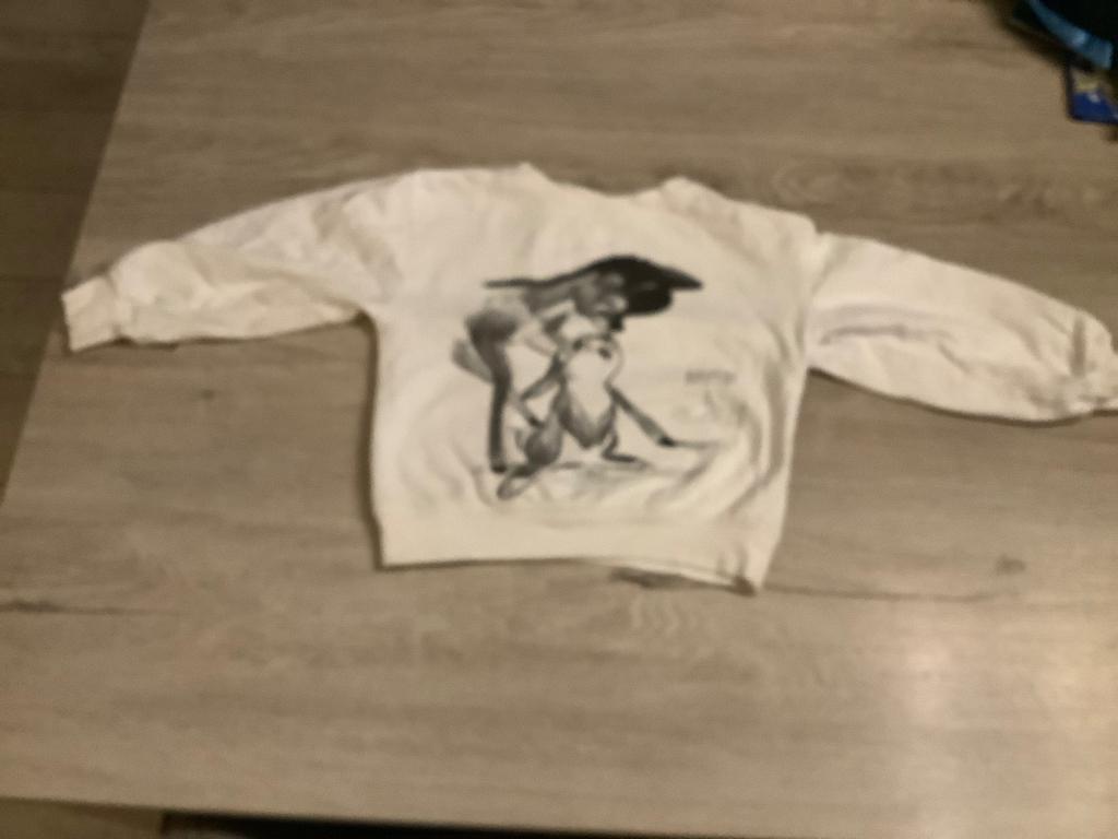 Pull Disney Bambi (110-116), Enfants & Bébés, Vêtements enfant | Taille 110, Comme neuf, Fille, Pull ou Veste, Enlèvement ou Envoi