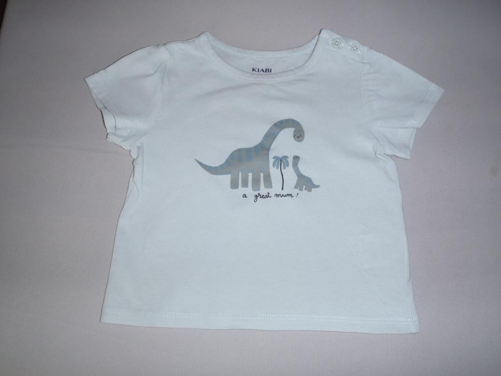T-shirt maat 74, Ophalen of Verzenden, Zo goed als nieuw, Jongetje, Overige typen