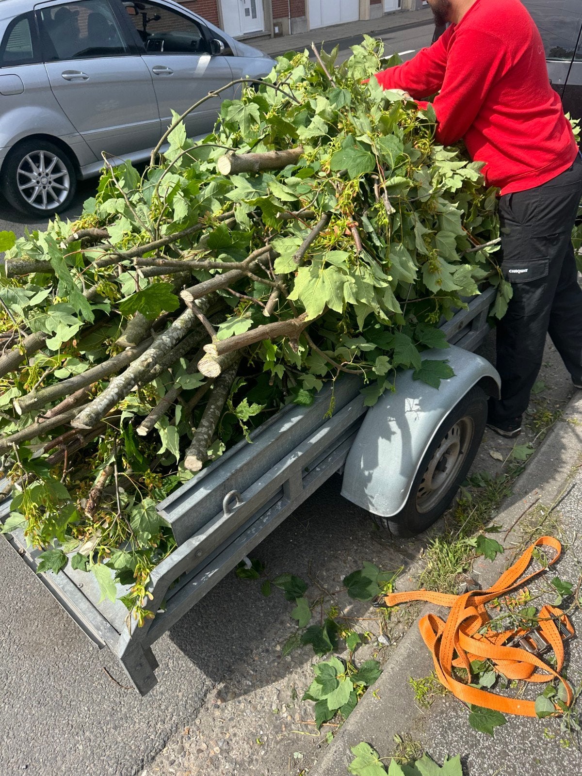 Jardinage / Élagage / débroussaillage / bûcheron, Enlèvement, Branches