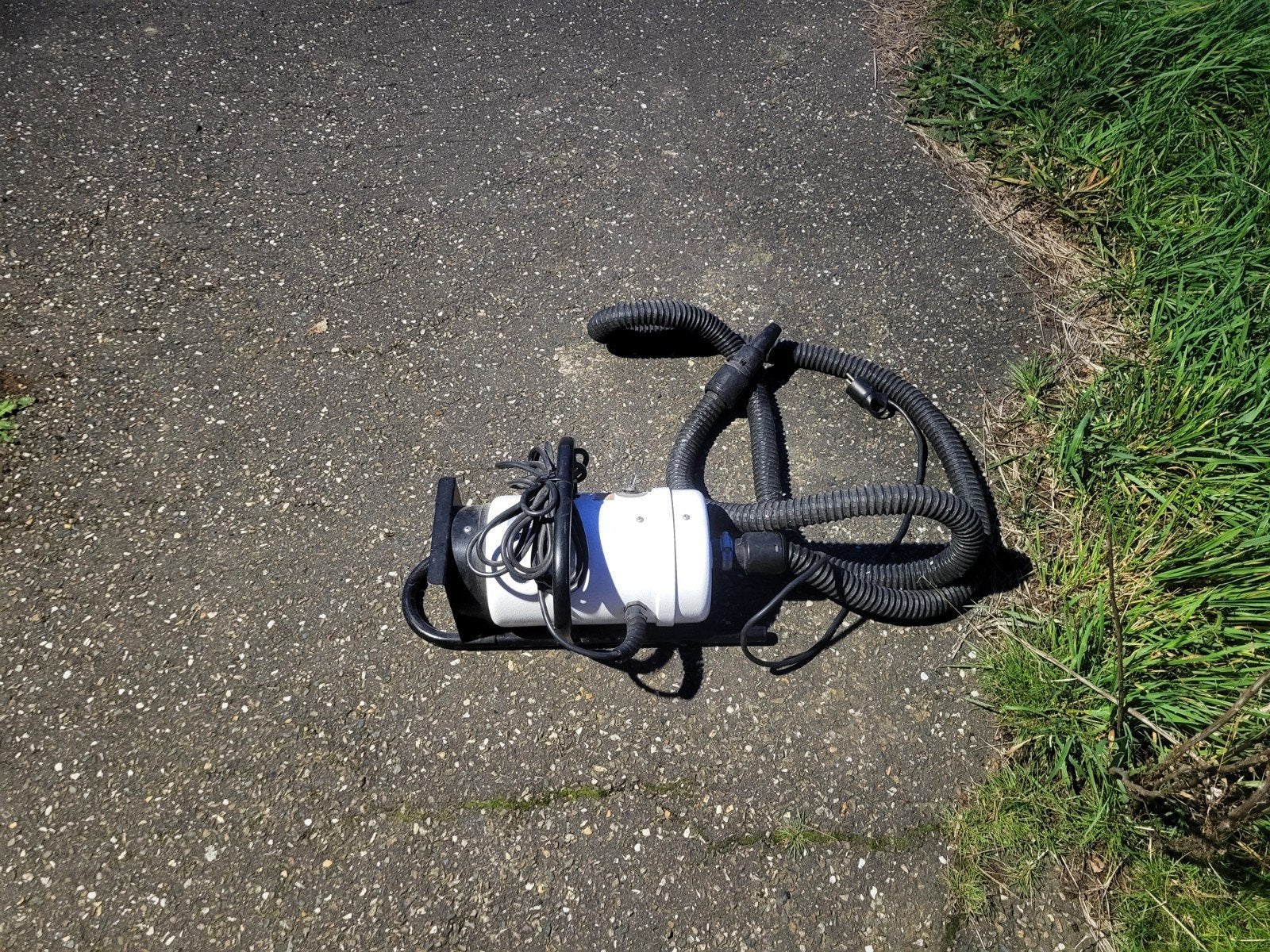 hondenblazer, Dieren en Toebehoren, Ophalen