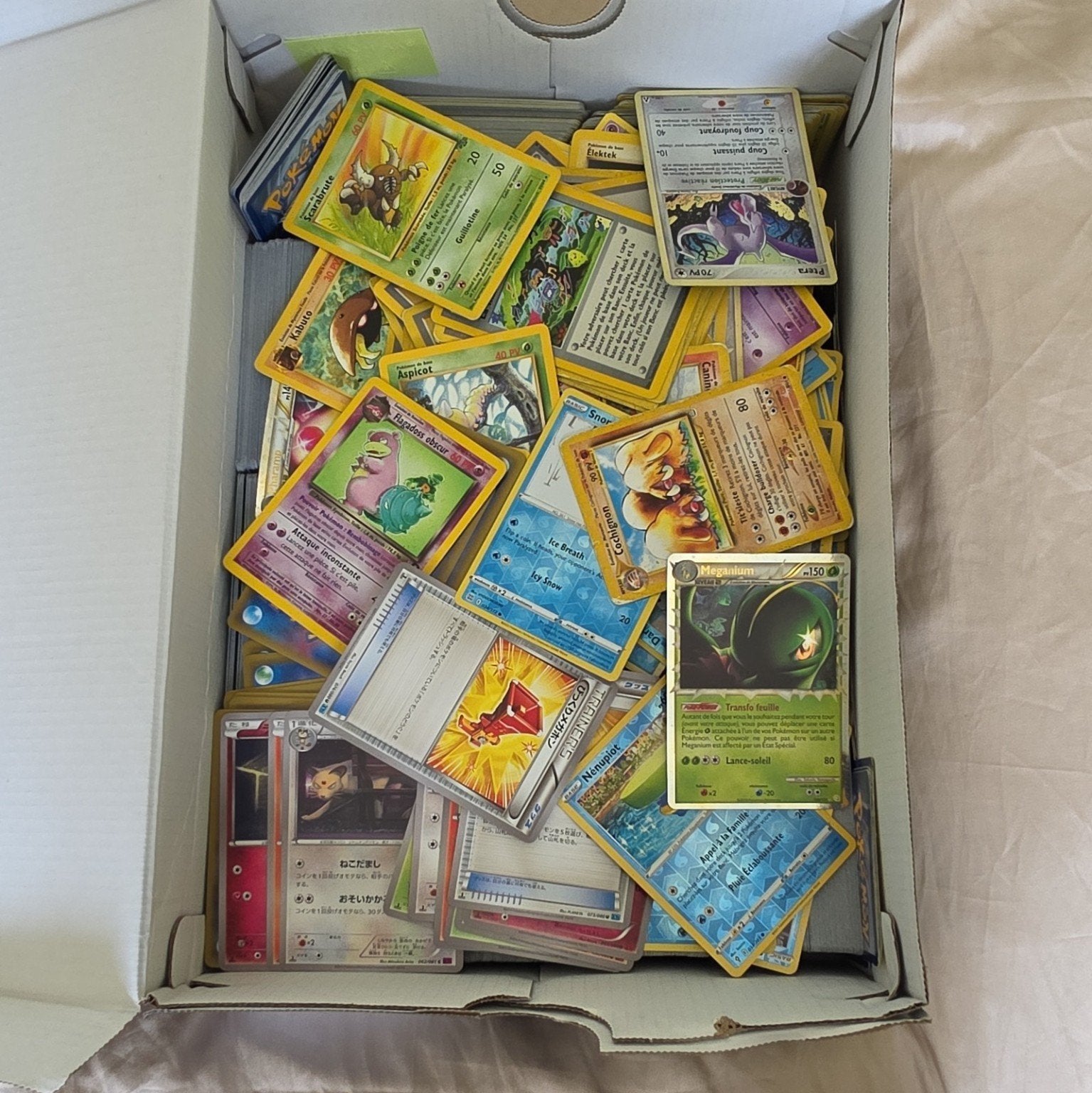 Gros lot cartes Pokémon TCG – Reverse, Holo, rares – +100 ca, Envoi