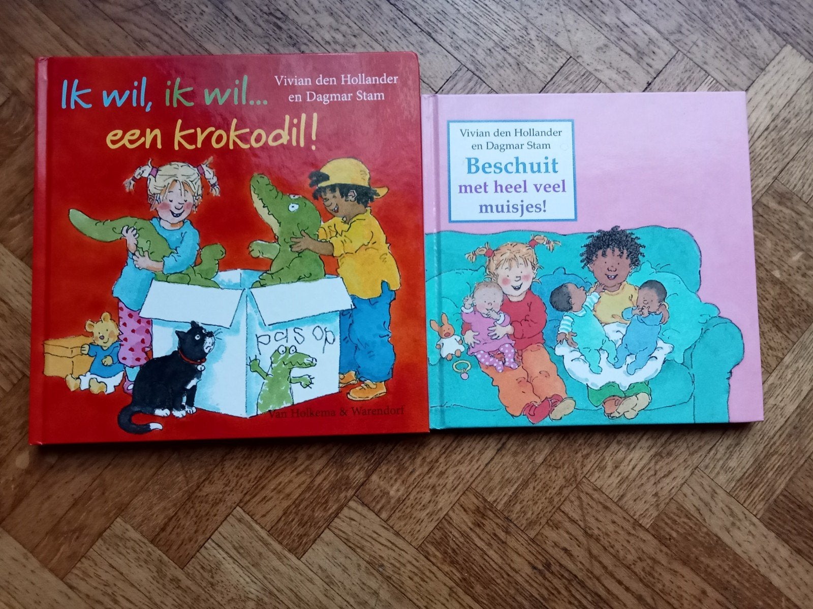 2 voorleesverhalen van Vivian den Hollander en Dagmar Stan, Boeken, Ophalen of Verzenden, Gelezen