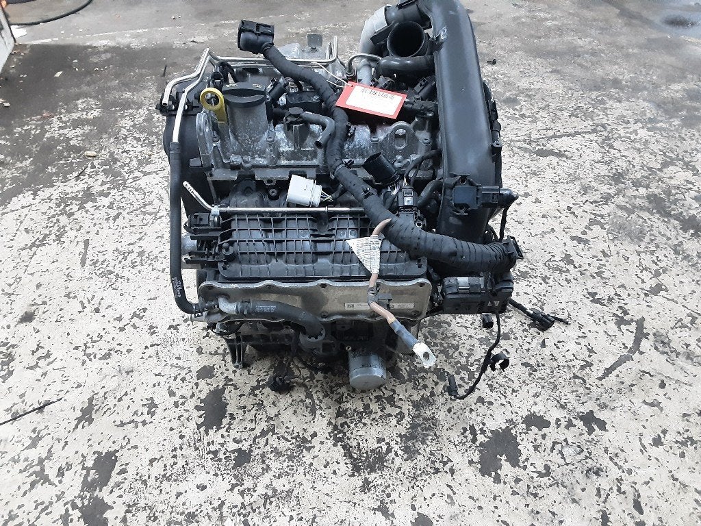 MOTEUR Volkswagen Tiguan (AD1) (01-2016/04-2024) (DGE198668), Volkswagen, Mevr. I. Hauben, Utilisé, Rue de l'Espoir 34 34
4030  GRIVEGNÉE, BE