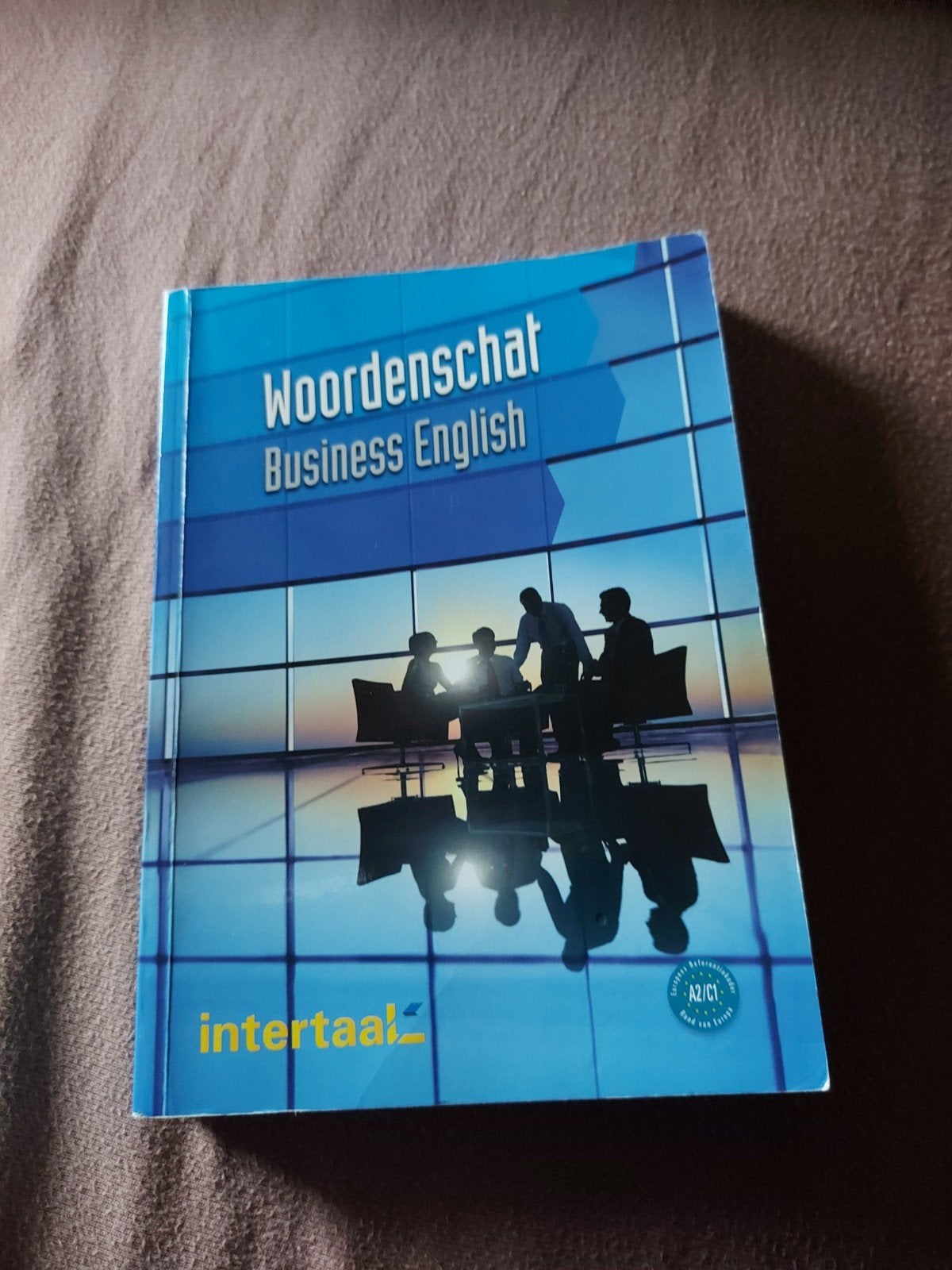 Barry Baddock - Woordenschat Business English, Boeken, Ophalen of Verzenden, Engels, Barry Baddock; Susie Vrobel