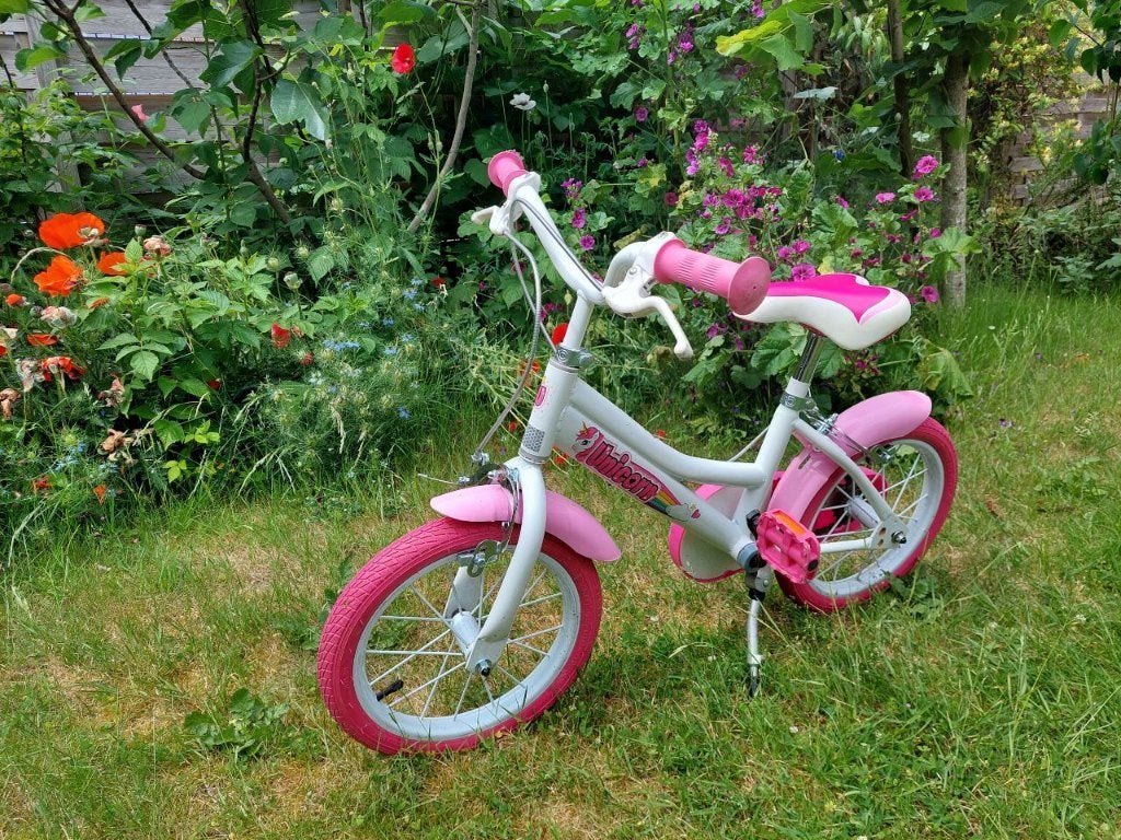 Kinderfiets meisje, Gebruikt, Velgrem, Minder dan 16 inch, Ophalen