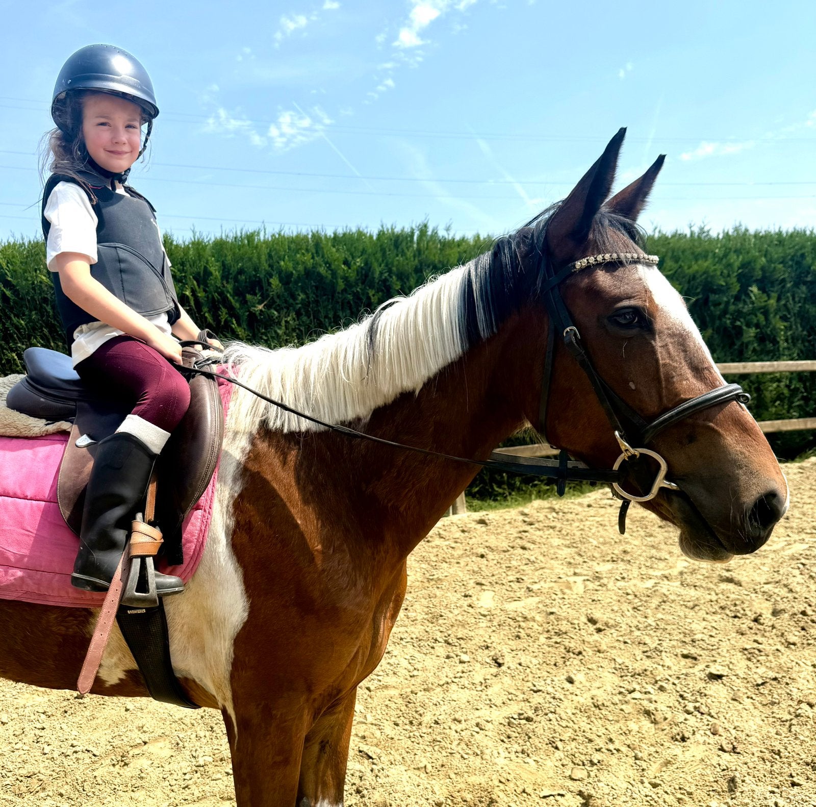 Un appareil polyvalent super courageux, Animaux & Accessoires, Jument