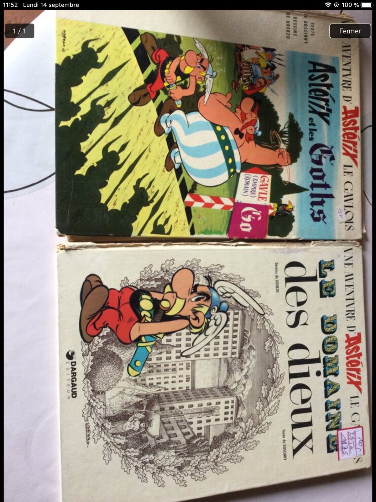 DOOR ASTERIX, Boeken, Zo goed als nieuw