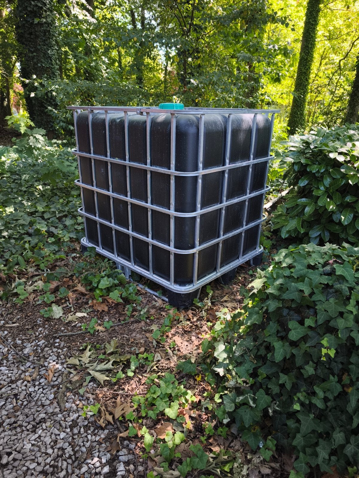 cubis 1000l, Jardin & Terrasse, Barils de pluie, Enlèvement