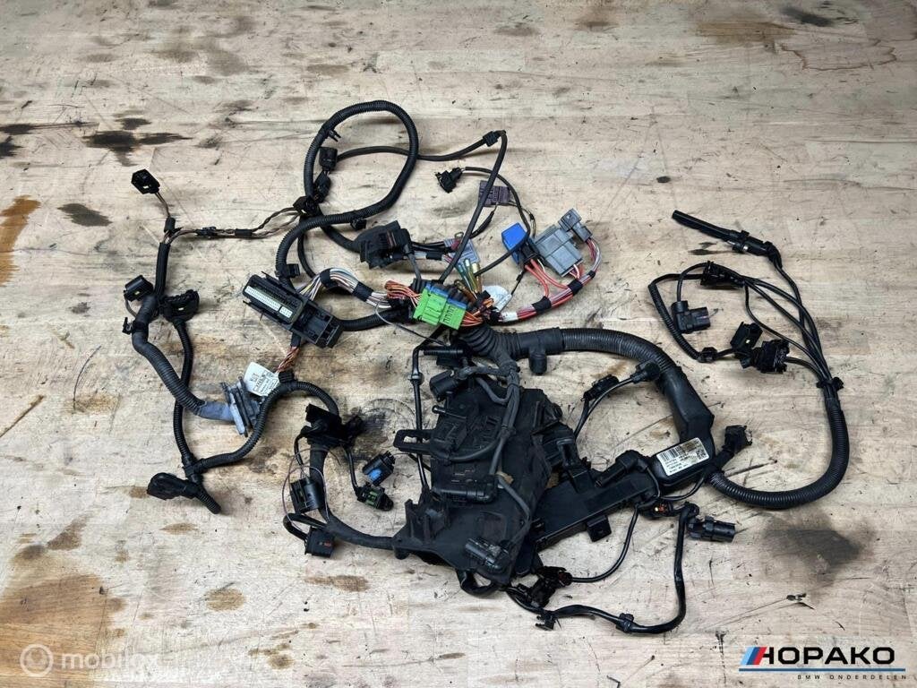 Kabelboom motor BMW E9x N47D20C, Enlèvement ou Envoi, Einsteinlaan 5 rijswijk, Bmw, Utilisé