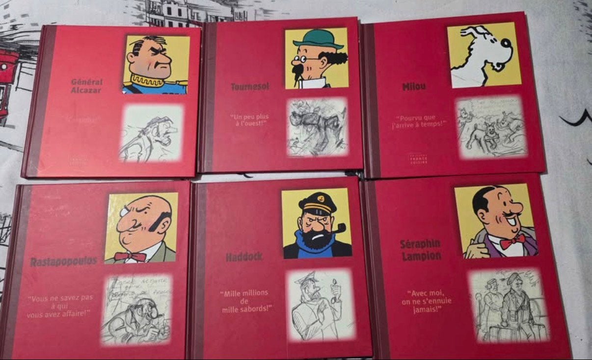 Livres Tintin Edition France Loisirs, Enlèvement