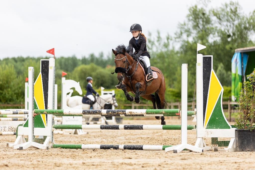 Lieve, vlotte c-springpony, Vermifugé, Poney C (1.27 m à 1.37m), 11 ans ou plus, L