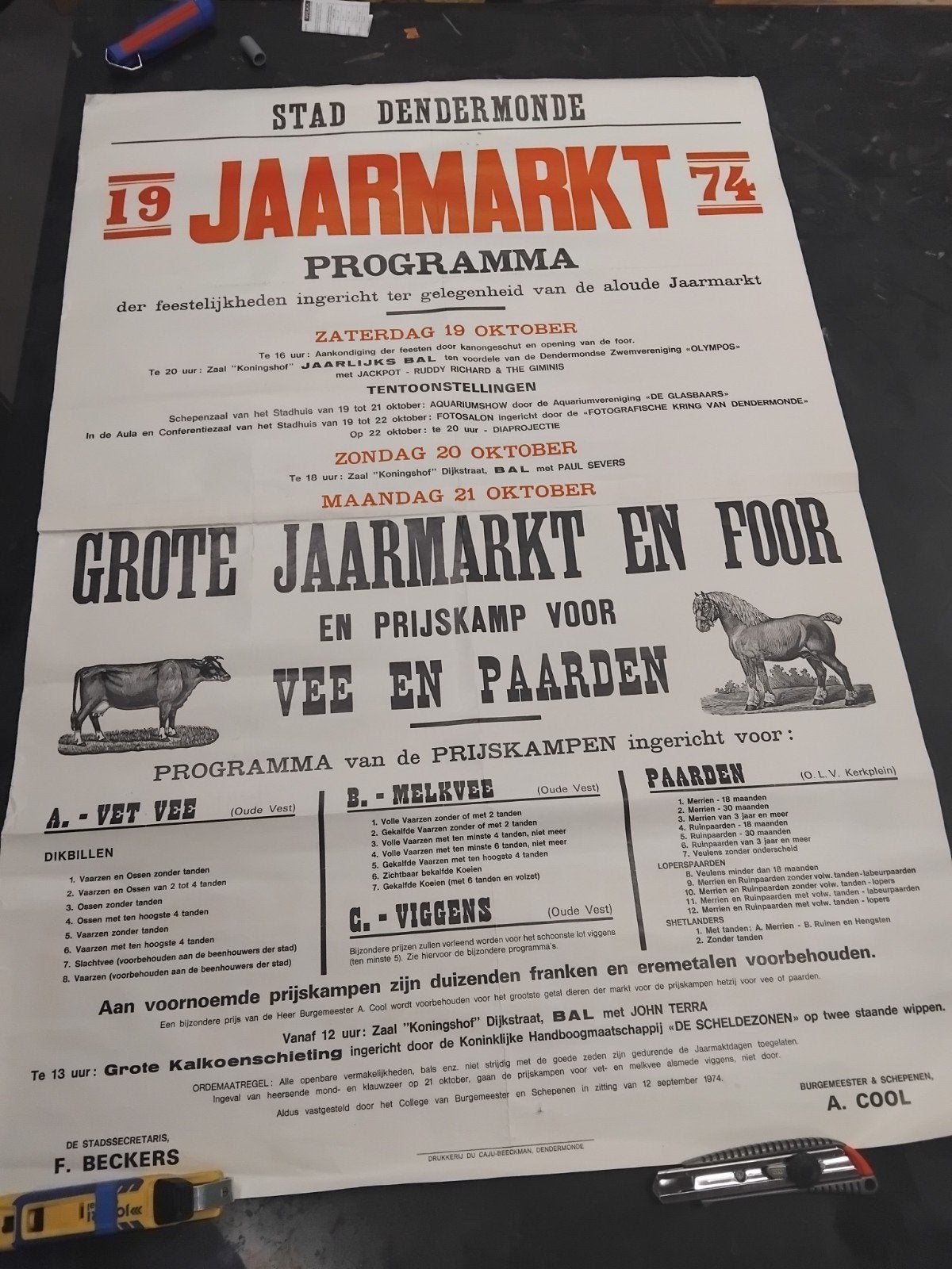 marché annuel de Termonde 1974, Enlèvement ou Envoi
