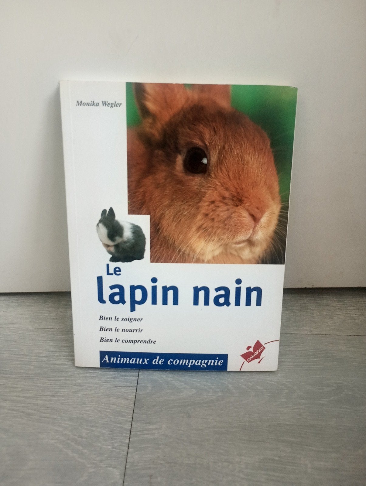 Boek om te leren hoe je voor een dwergkonijn moet zorgen, Boeken, Dieren en Huisdieren, Ophalen of Verzenden, Zo goed als nieuw