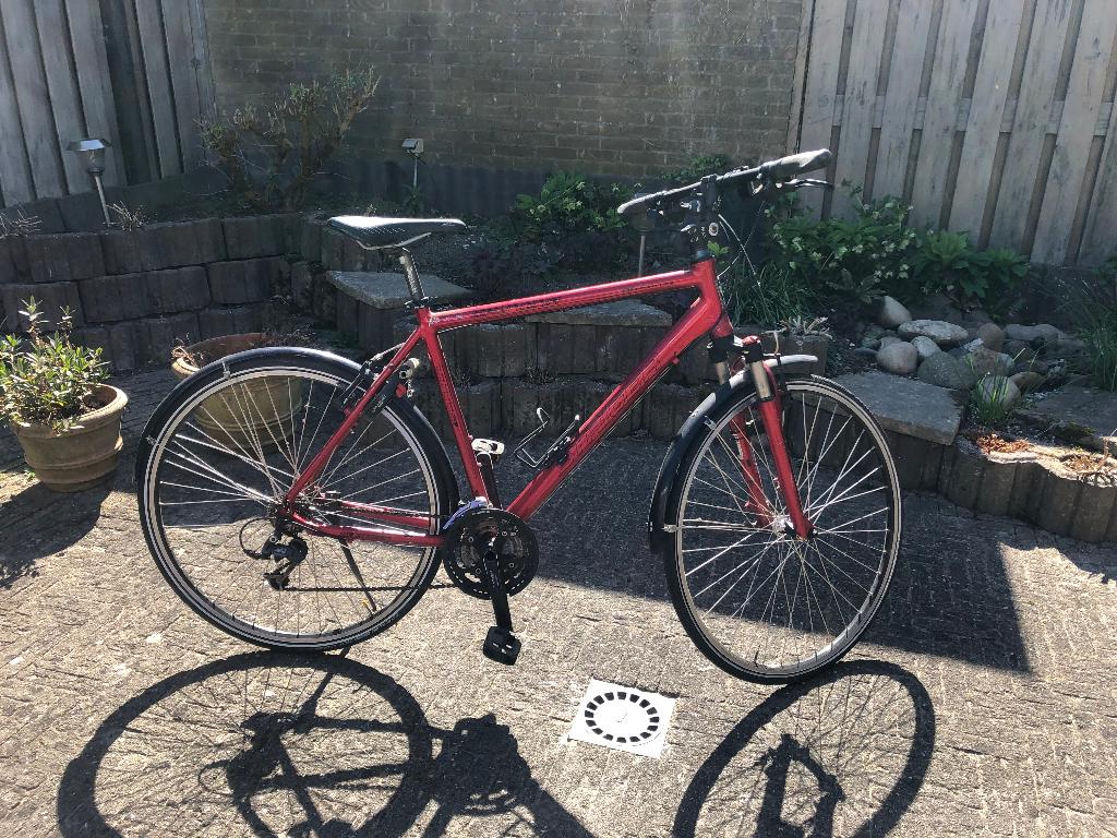 Stainer Daytone sportfiets, Gebruikt, 26 inch, Velgrem, 57 tot 61 cm
