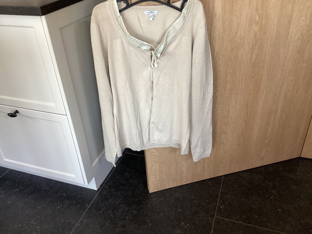 Nieuw chique vestje met speciale kraag L/Xl (herfst), Kleding | Dames, Truien en Vesten, Maat 42/44 (L), Nieuw, Ophalen of Verzenden