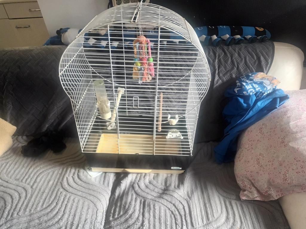 Vogelkooi te koop, Enlèvement, Cage à oiseaux