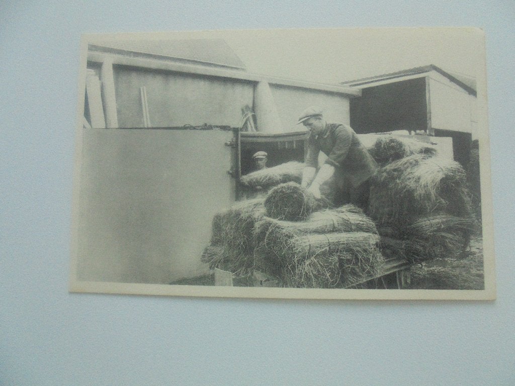 vlasteelt- het ledigen van de bassin, Verzamelen, Postkaarten | België, Verzenden, 1920 tot 1940, Ongelopen, West-Vlaanderen