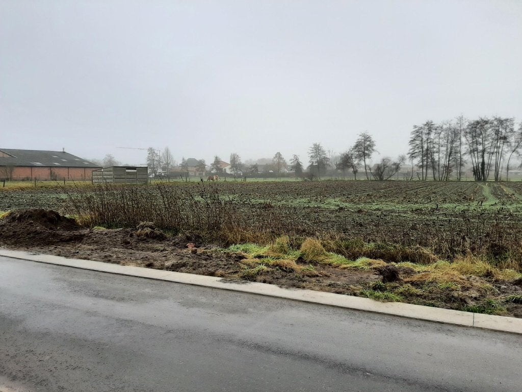 landbouwgrond 70 are (Reenstraat - Arendonk), Immo, Arendonk, Verkoop zonder makelaar, 1500 m² of meer