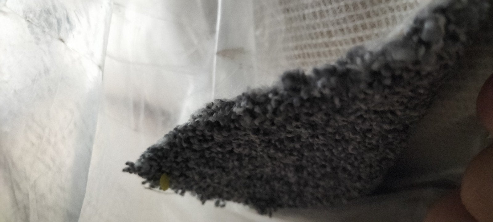 Tapis (moquette), Enlèvement