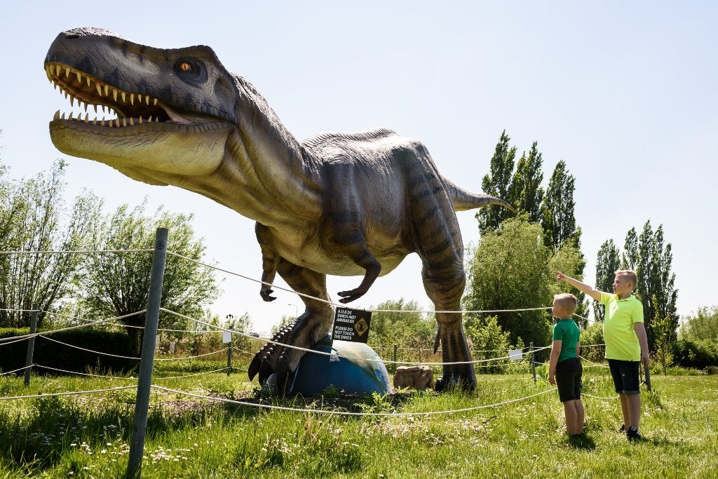 Dino Experience Park, Twee personen, Ticket of Toegangskaart