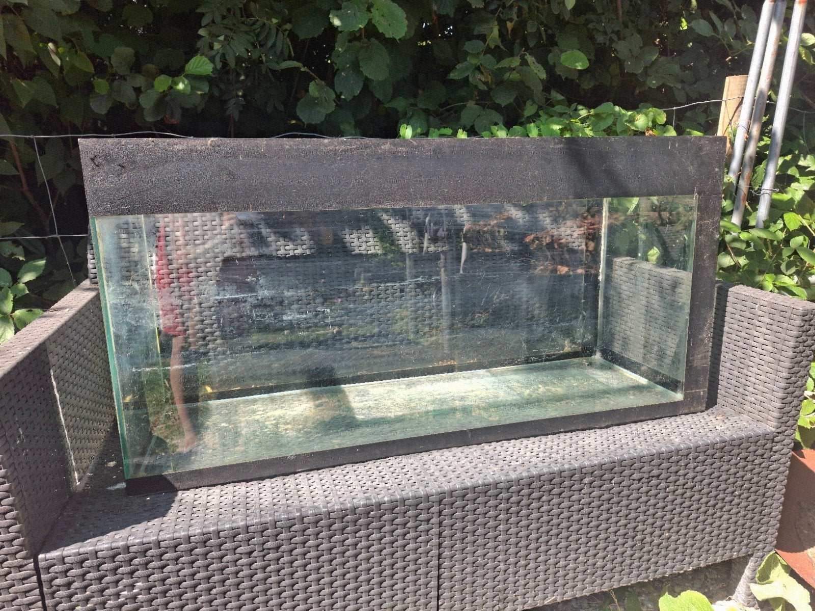 aquarium à vendre, Enlèvement