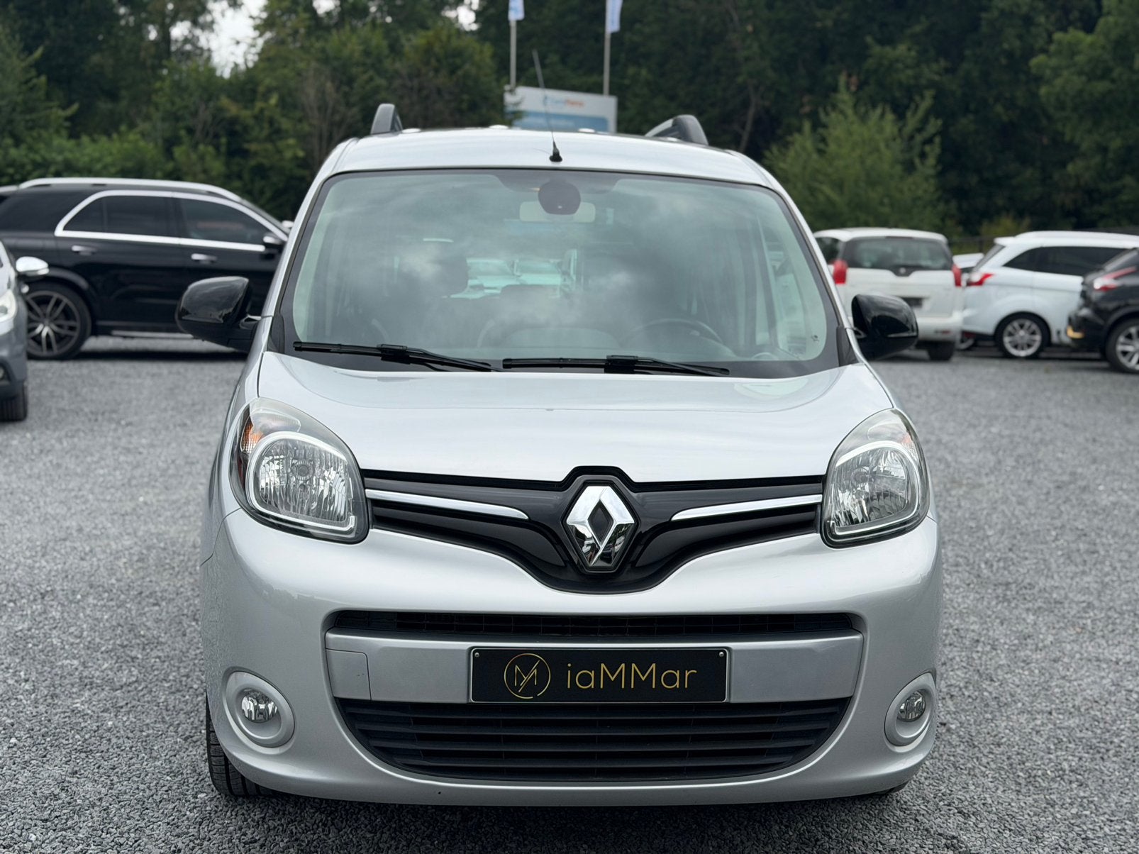 RENAULT KANGOO, Auto's, Stof, https://public.car-pass.be/vhr/42d6374e-9e07-4fa9-ab02-258115842ed6, Bedrijf, Kangoo
