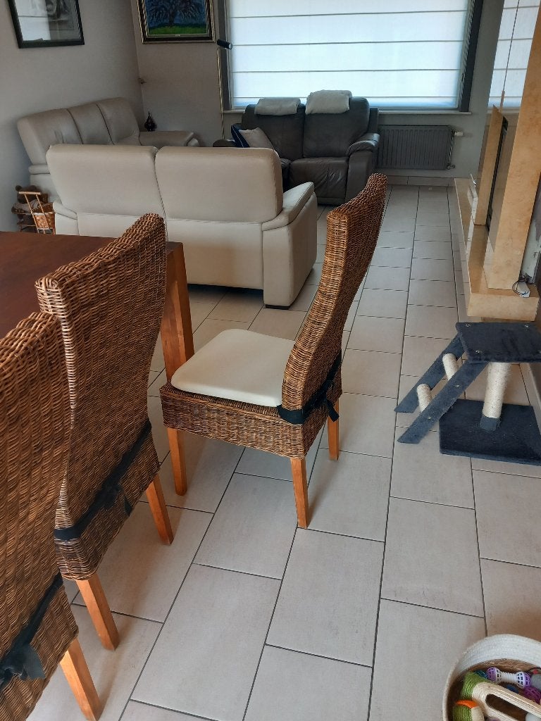 Teak eetkamer, Ophalen, Zo goed als nieuw, Teakhout