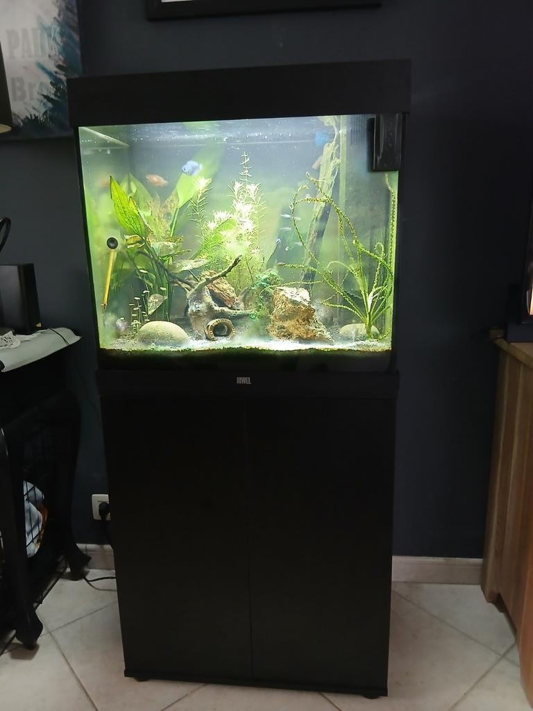 Aquarium juwel 120l, Dieren en Toebehoren, Vissen | Aquaria en Toebehoren, Ophalen, Juwel