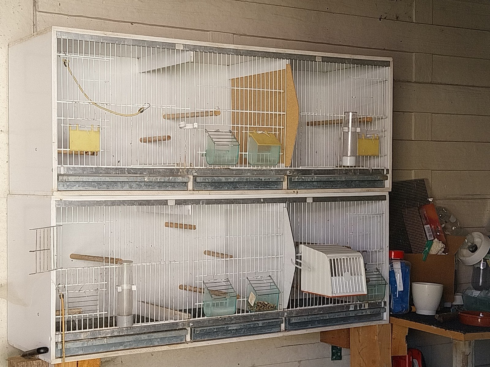 Twee witte kweekkooien  zeer goede staat 70 €, Dieren en Toebehoren, Ophalen