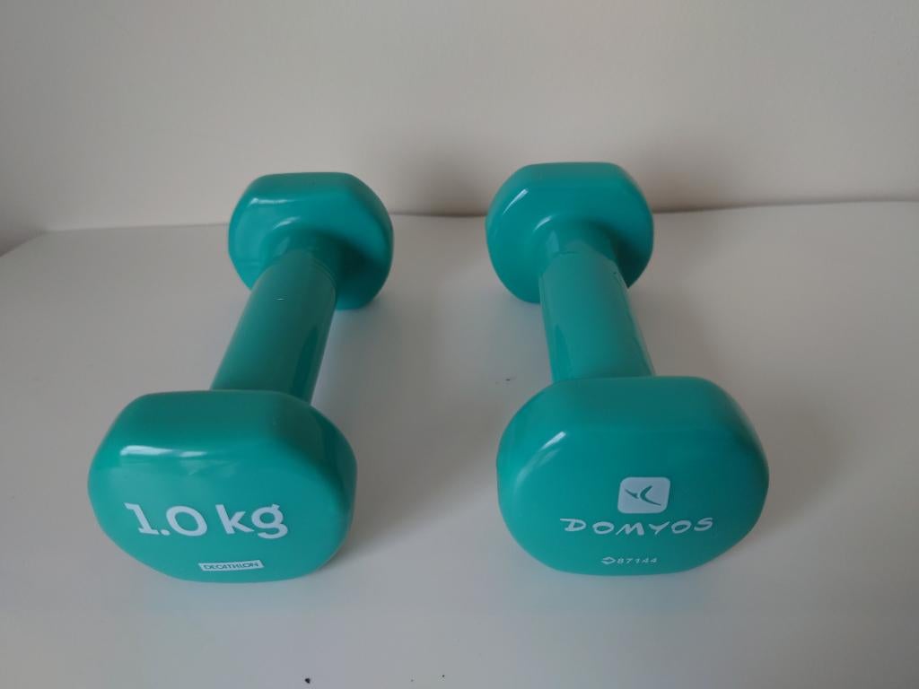 Fitness gewichten 1Kg, Enlèvement, Neuf, Haltère