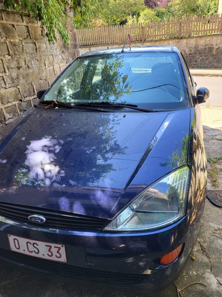 ford focus 2001, Focus, Achat, Boîte manuelle, 5 portes