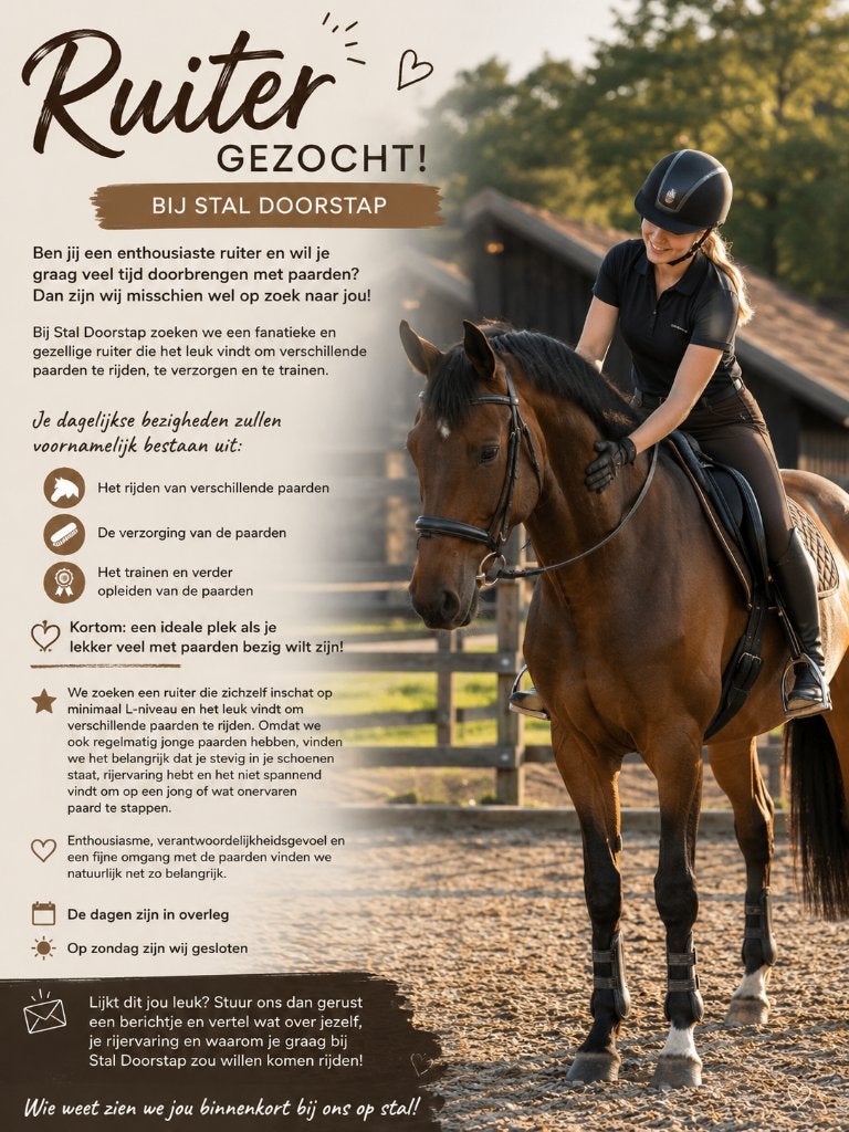 Ruiter Gezocht!, Dieren en Toebehoren, Ophalen