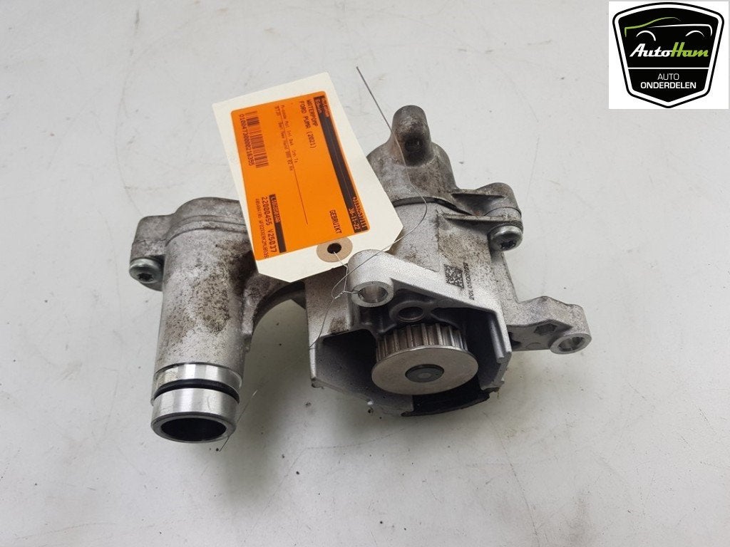 WATERPOMP Ford Puma (01-2019/-) (|L1BG8501AA|2353380|), Dhr. J. Ham, Gebruikt, Administratie@autoham.nl, Ford