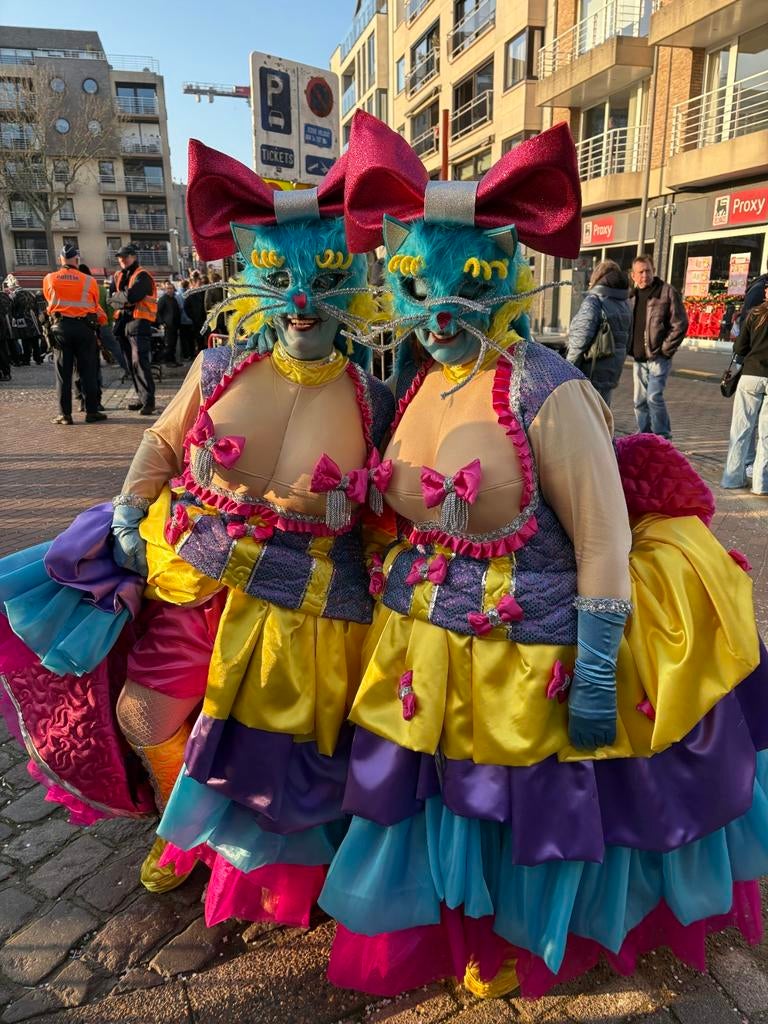 Karnavalpak van de stoet, Kleding | Dames, Carnavalskleding en Feestkleding, Ophalen, Gedragen, Maat 42/44 (L), Kleding