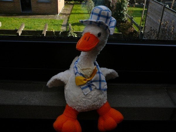 Mooie eend die zingt op batterij, Enfants & Bébés, Jouets | Peluches, Enlèvement, Utilisé, Canard, Petit (moins de 20 cm)